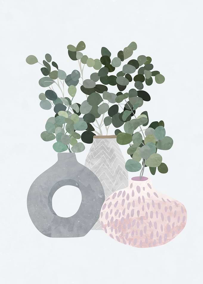 Scandi Japandi Pot Plants