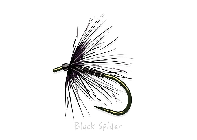 Fly Fishing Flies
