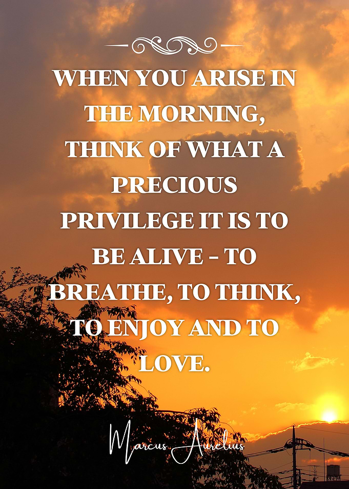 Stoic Quote