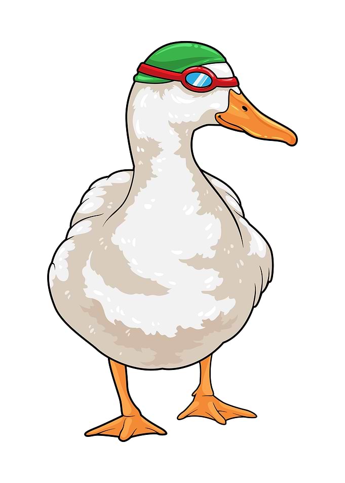 Duck Swimming Water sports