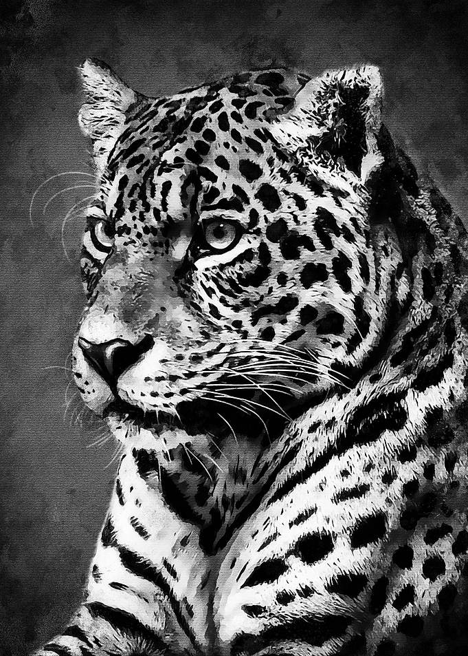 New Black Tiger
