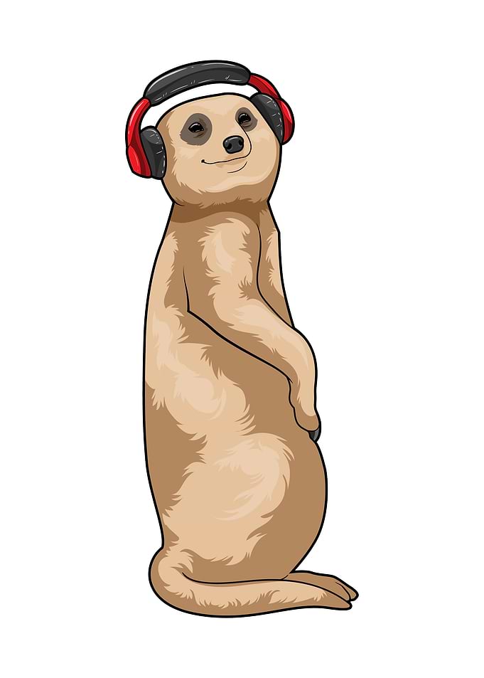 Meerkat Headphone Music