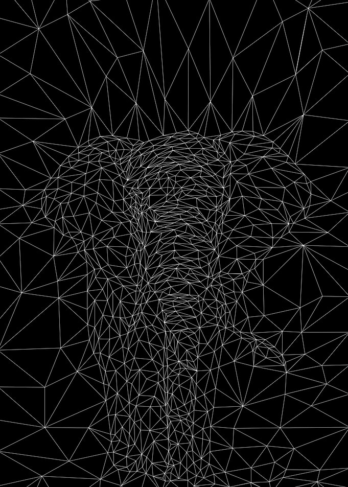 elephant low poly line
