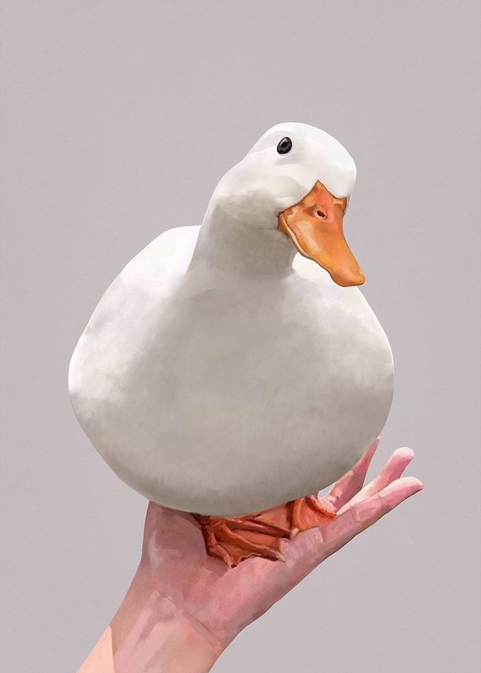 White Duck on palm meme