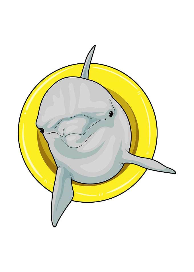 Dolphin Swimming Lifebuoy