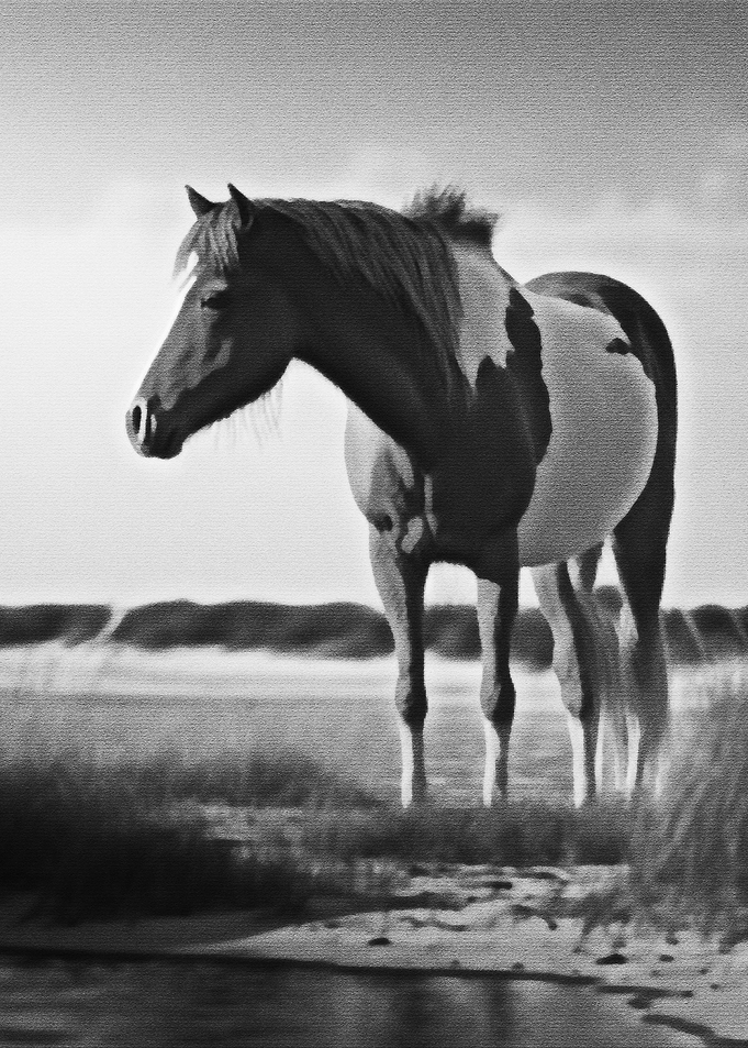 Black Horse