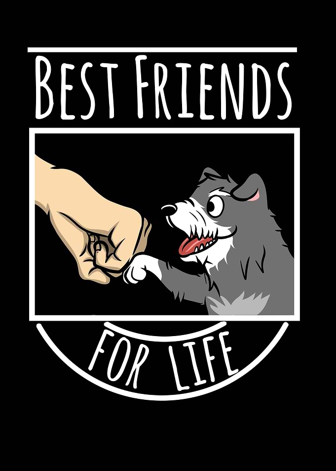 Schnauzer Best Friends