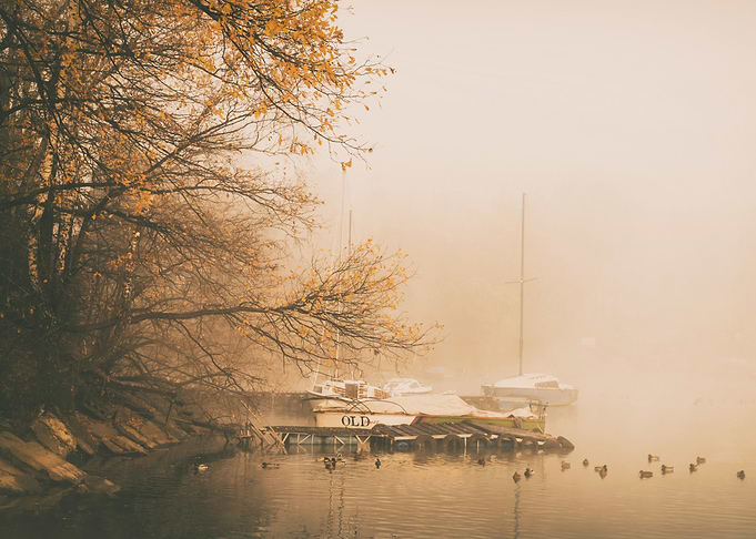Foggy morning on the lake