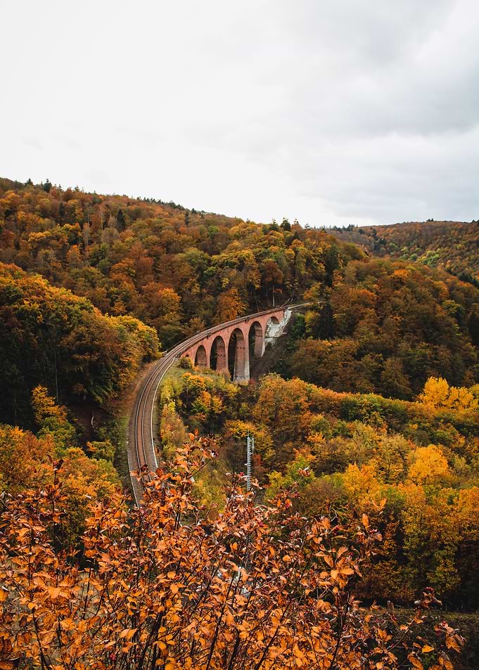 Viadukt in autumn