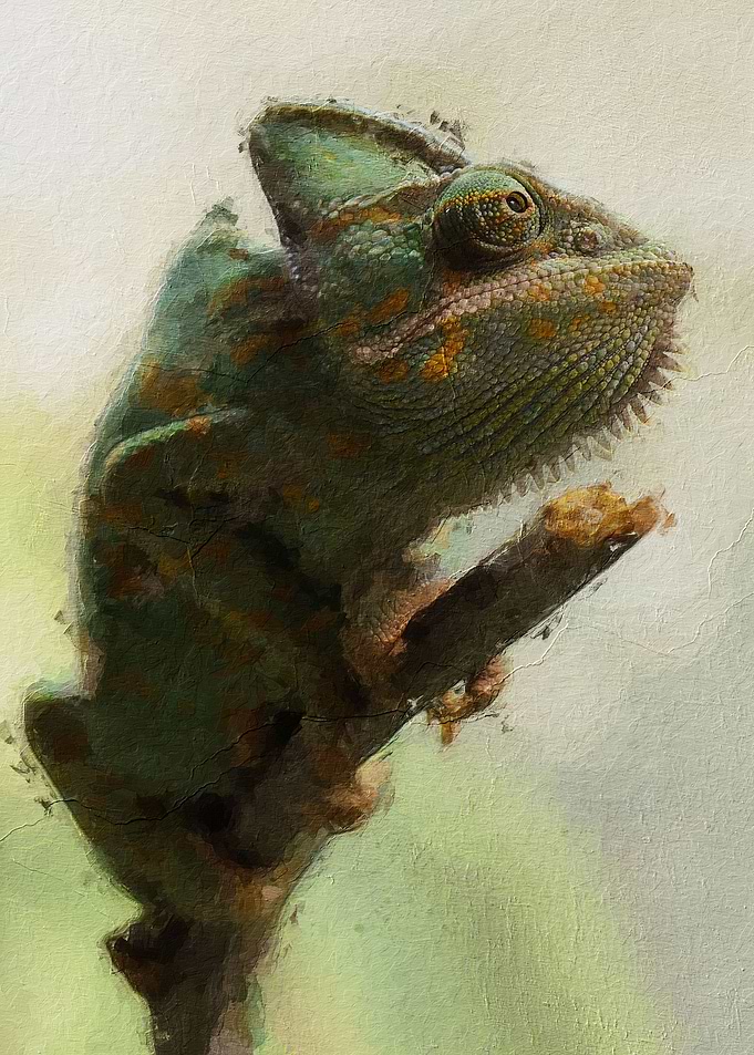 Chameleon