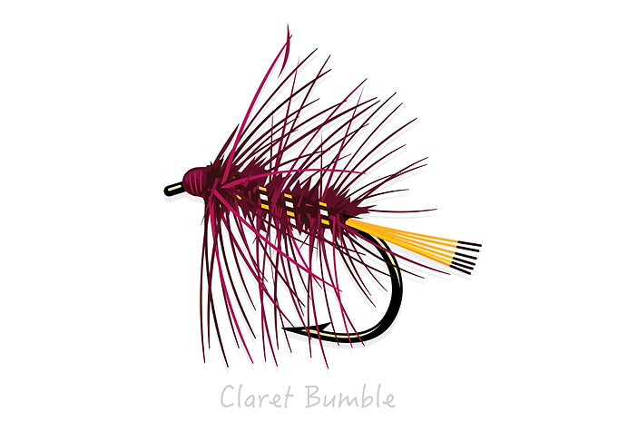 Fly Fishing Flies