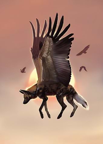 Winged Wild Dog