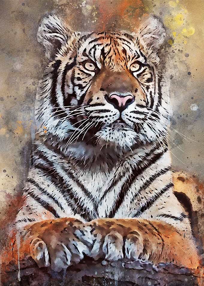 Splatter Tiger