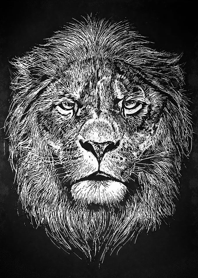 Black Lion