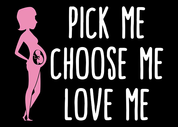 Anti Abortion Pro Life