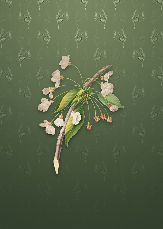 Vintage Cherry Plum Flower