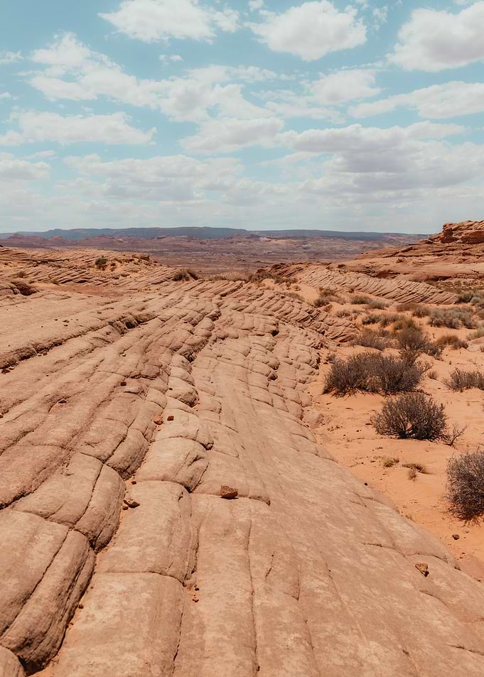 Arizona landscape