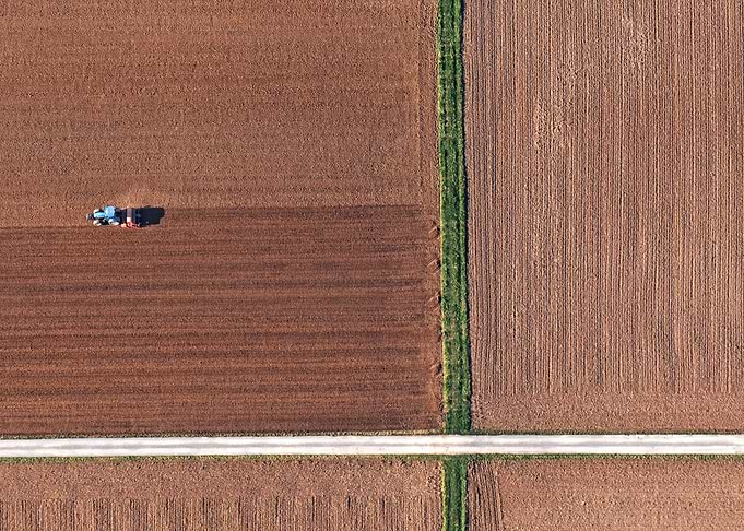 arable land farm