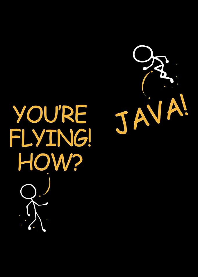 Programmer Coder