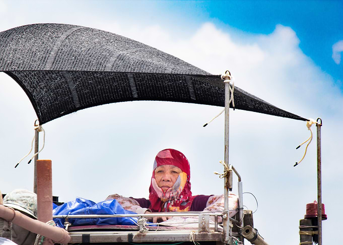 Oyster picker