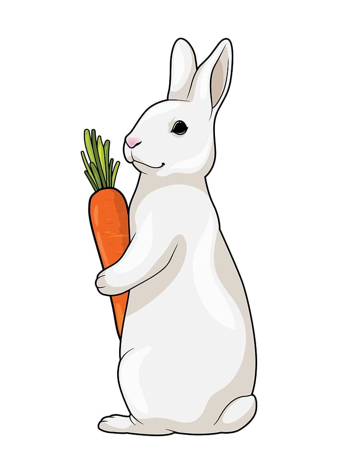 Bunny Carrot