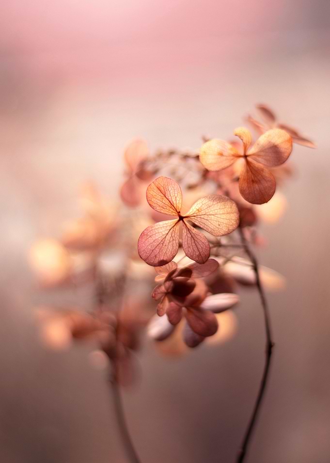Autumn impression