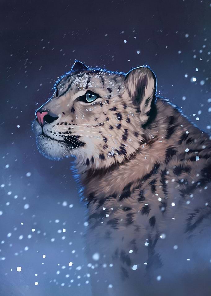 Snow Leopard