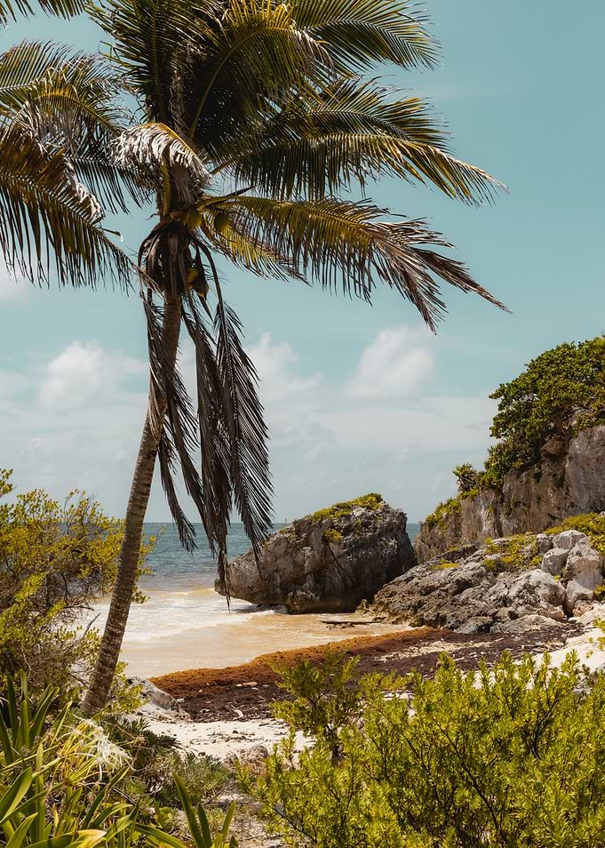 Yucatan coast