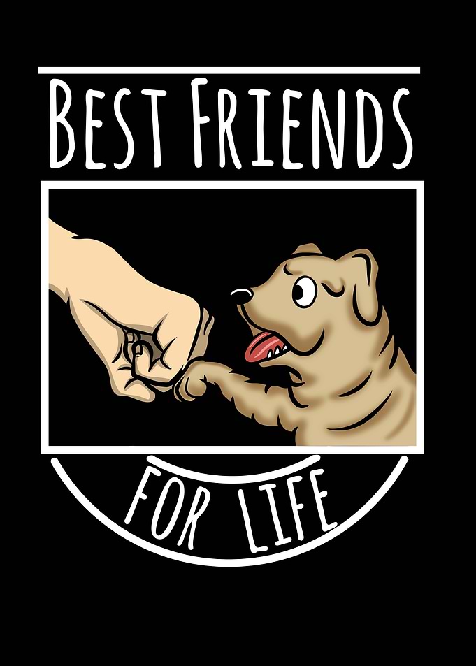 Shar Pei Best Friends