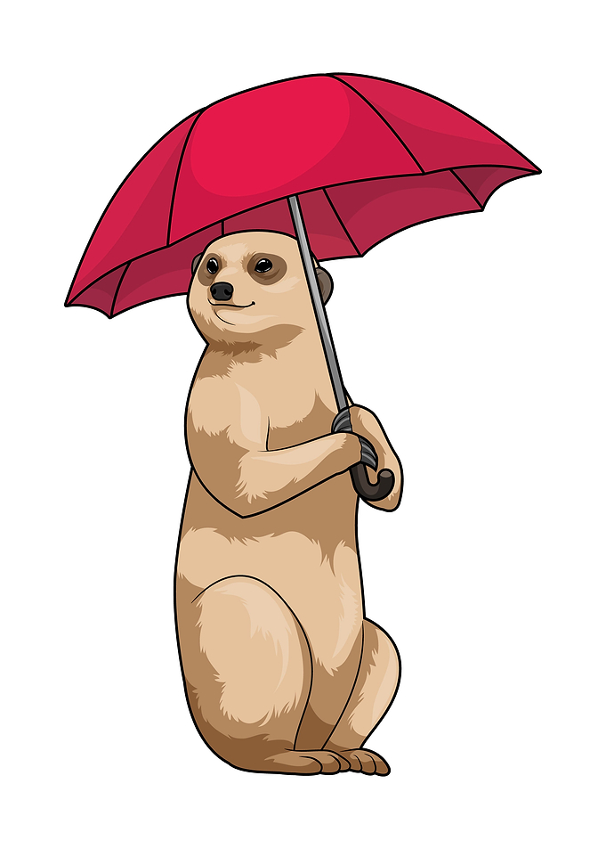 Meerkat Raining Umbrella