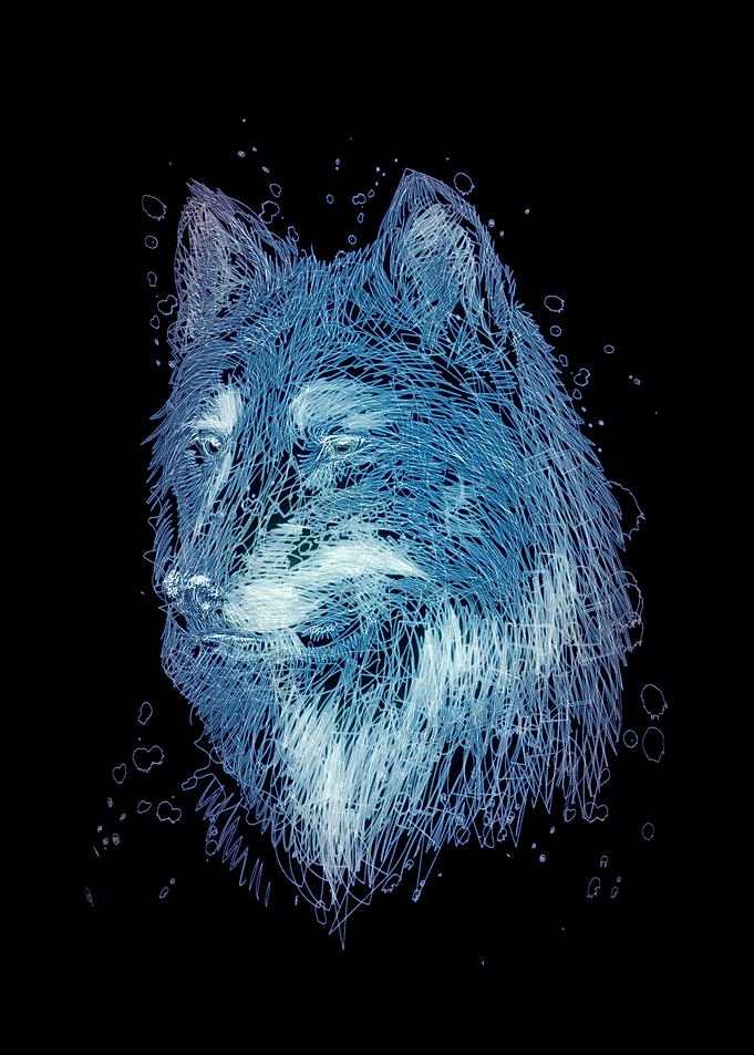 NEW wolf