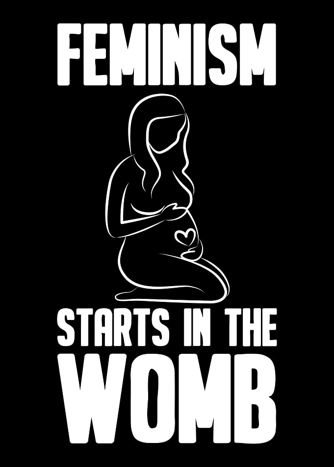 Feminism Feminist