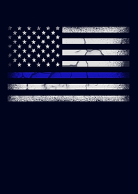 American Flag Police