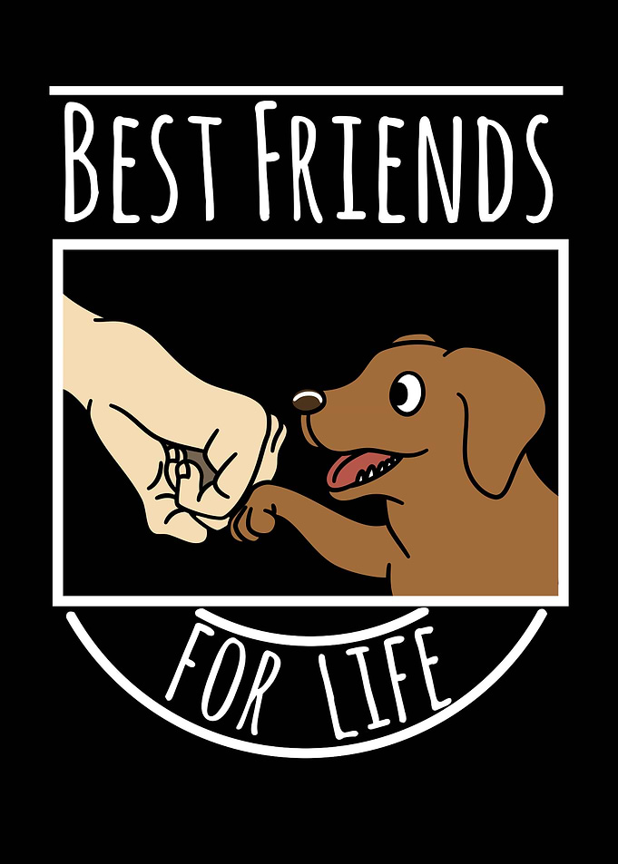 Vizsla Best Friends