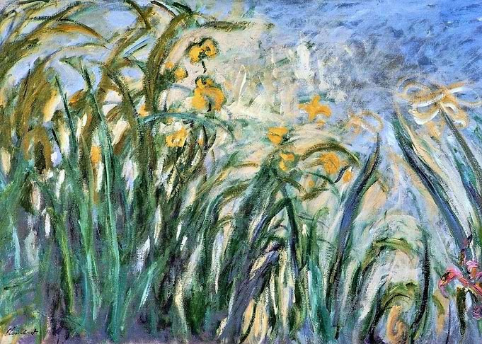 yellow irises and malva