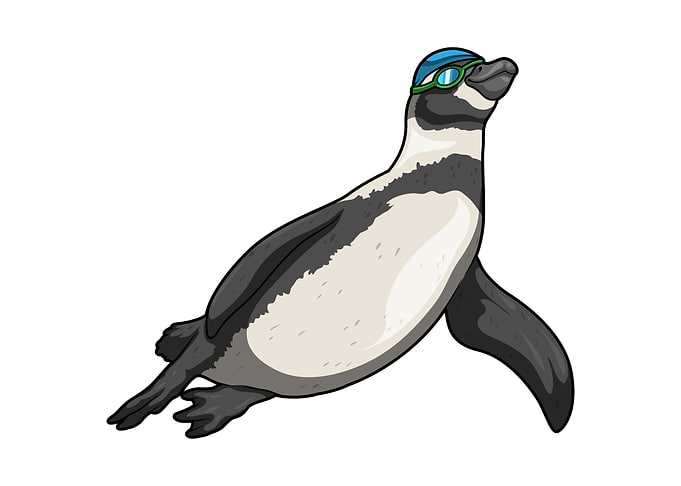 Penguin Swimming