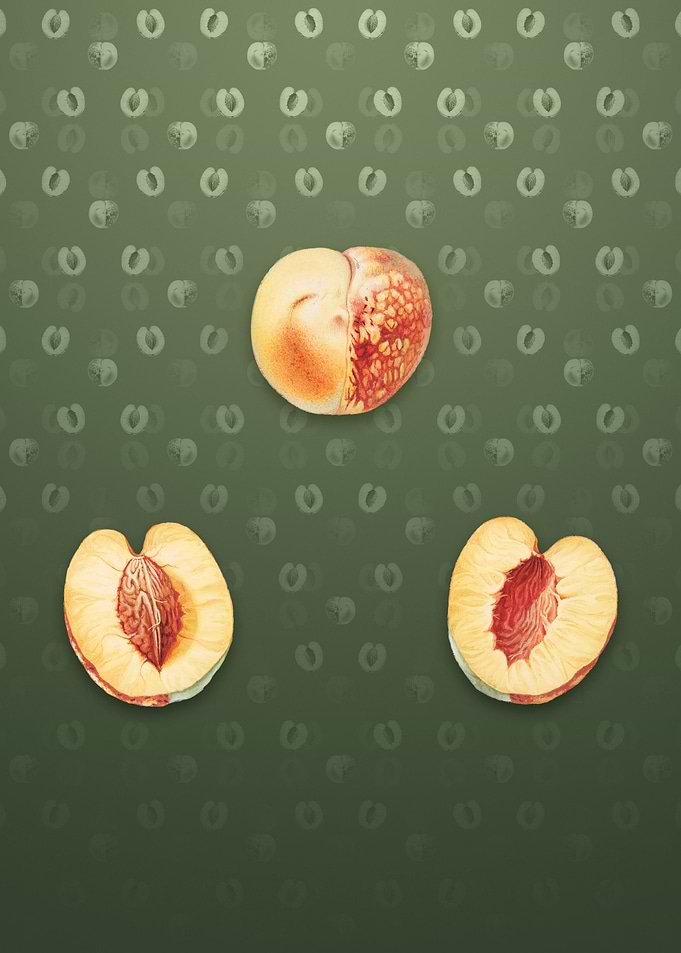 Nectarine on Lunar Green