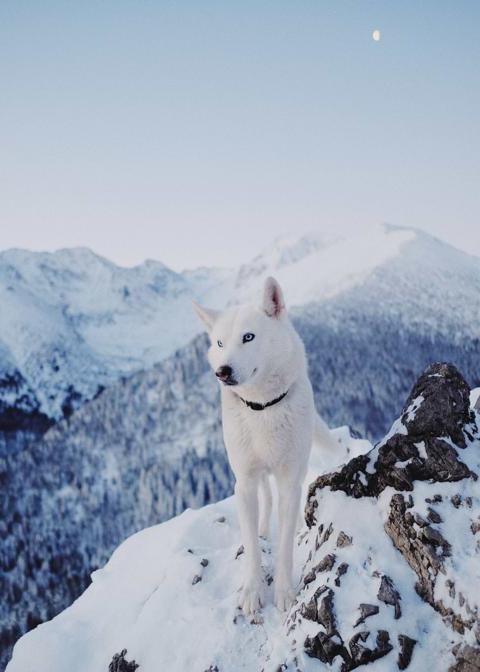 Morning in the mountains