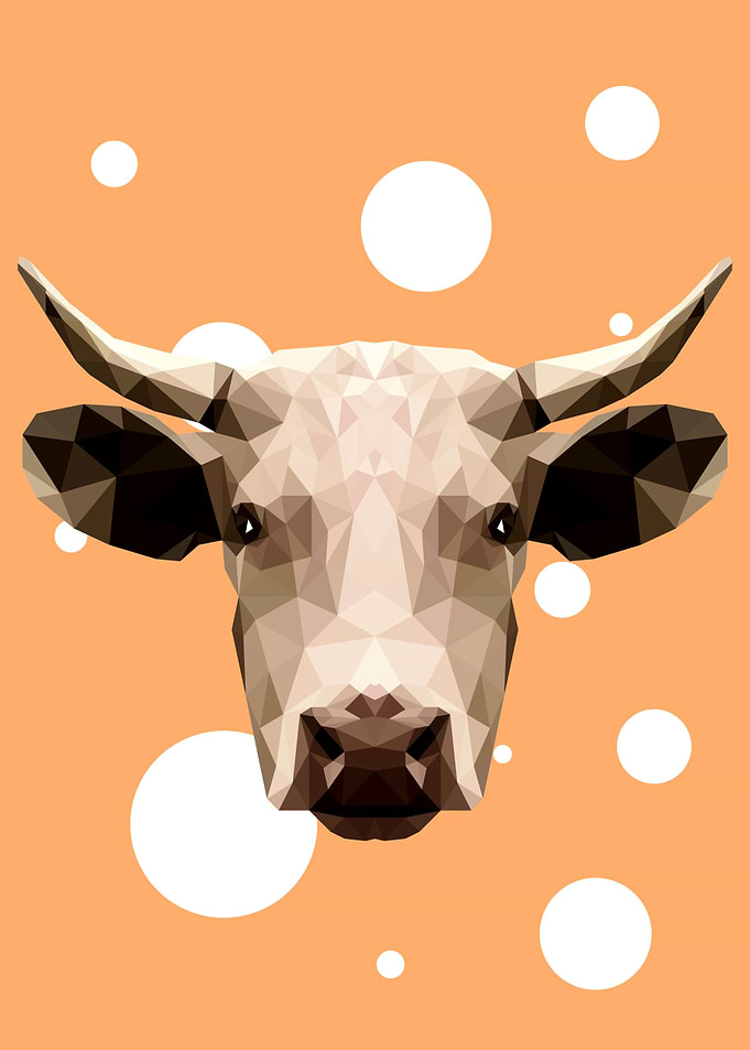 Cattle
