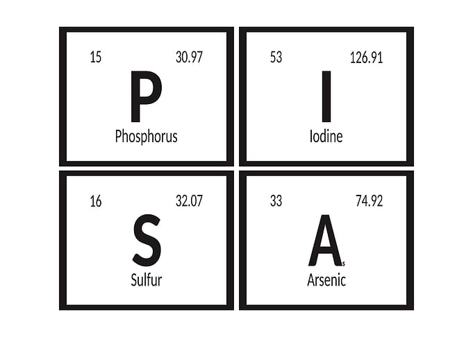 Elements of Pisa City