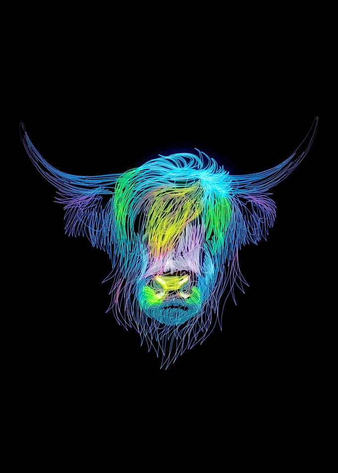 bull