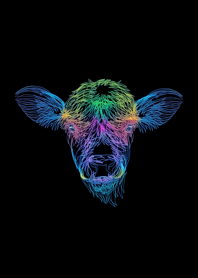 Cow