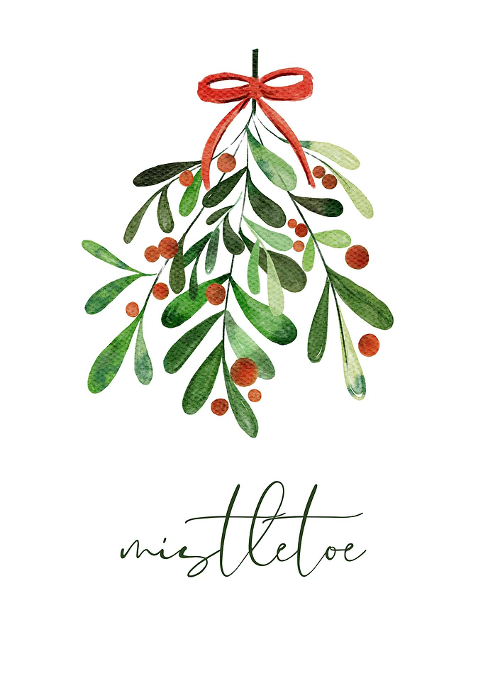 Mistletoe