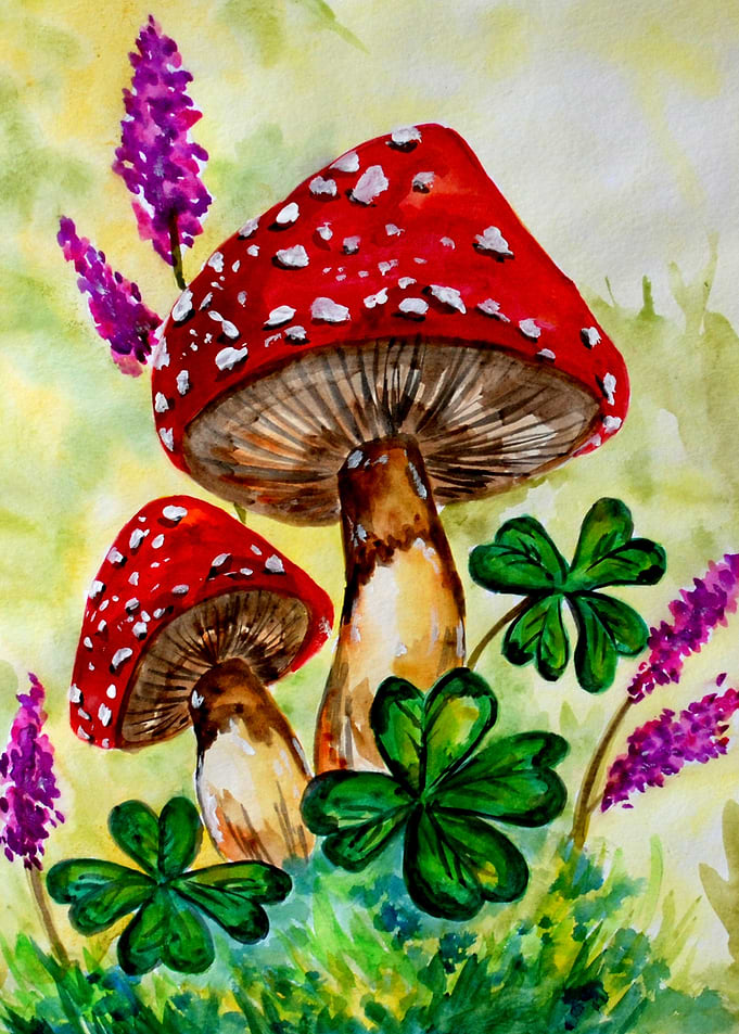Lucky Mushrooms