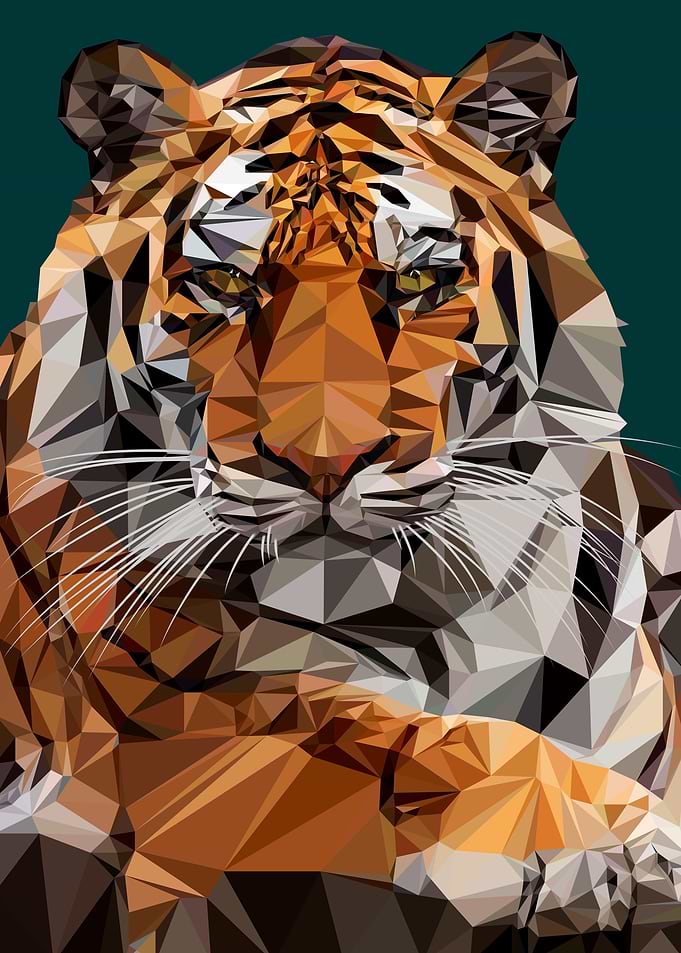 Tiger 02