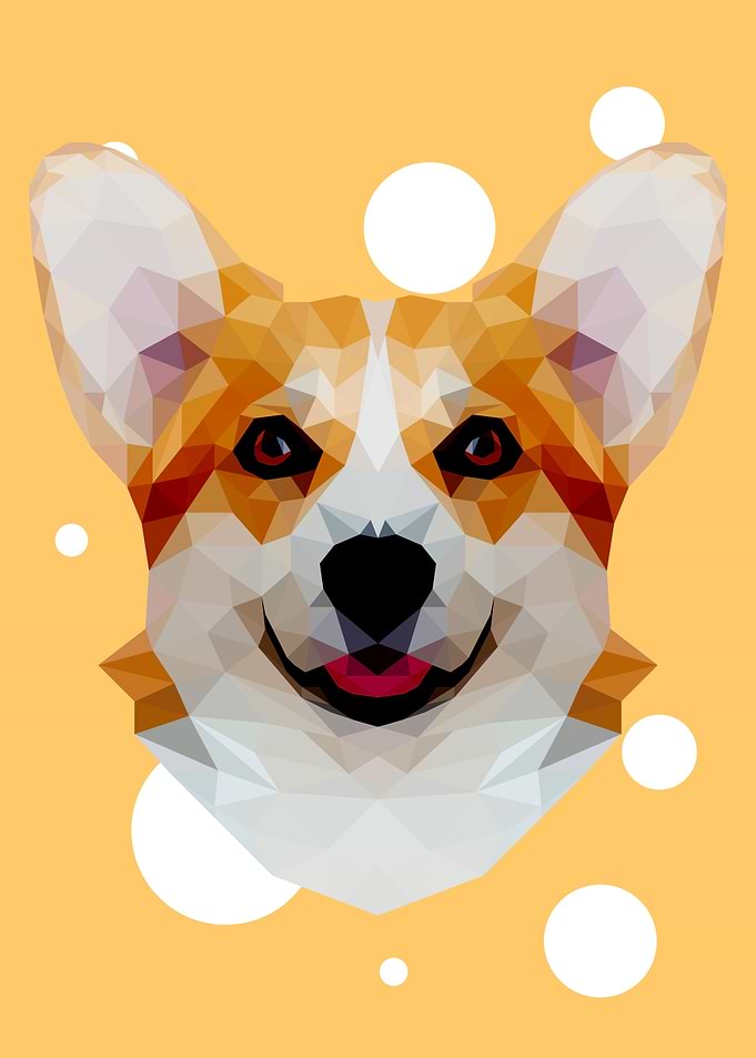 Corgi