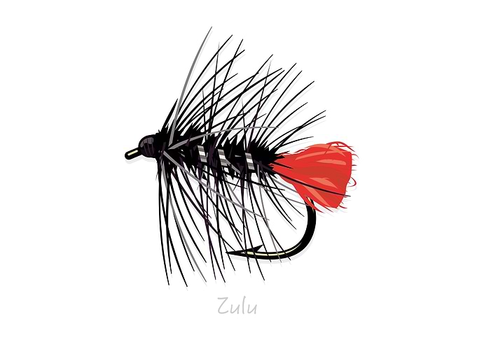 Fly Fishing Flies