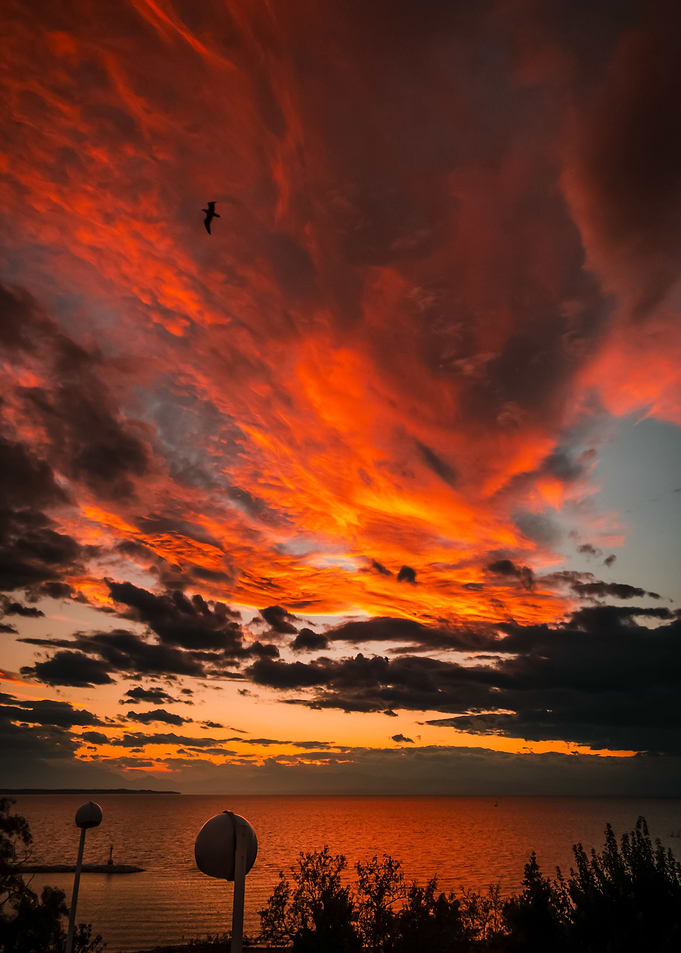 Fiery Kiss