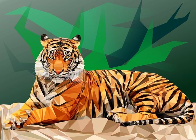 Tiger 01