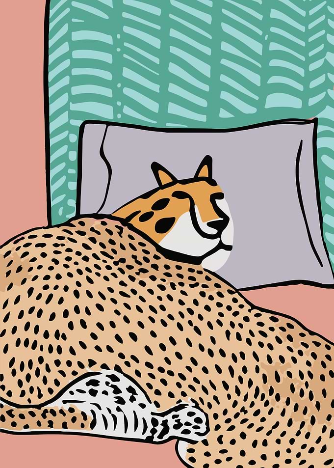 Sleepy Cheetah